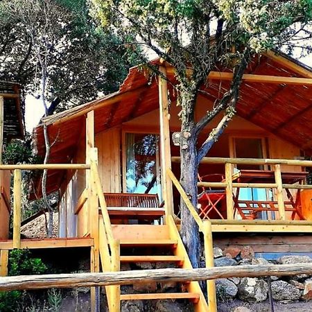 Stazzu La Capretta Farm Camping & Guest Rooms Olbia Eksteriør bilde