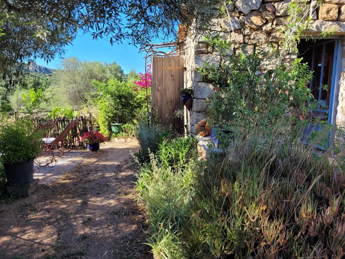 Stazzu La Capretta Farm Camping & Guest Rooms Olbia Eksteriør bilde