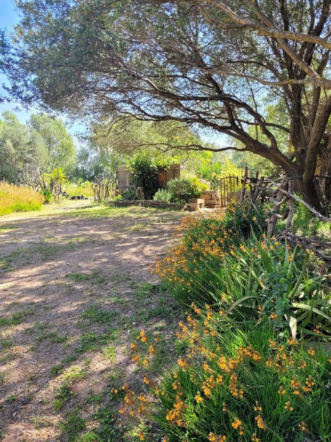 Stazzu La Capretta Farm Camping & Guest Rooms Olbia Eksteriør bilde