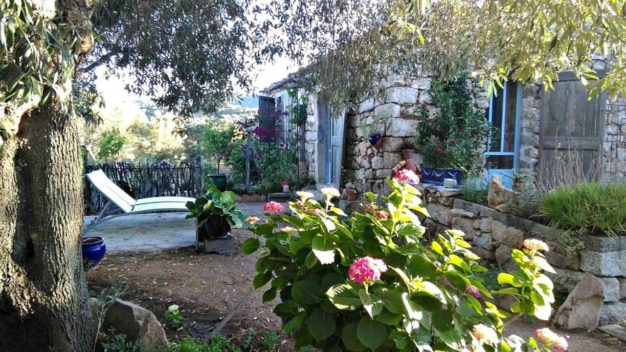 Stazzu La Capretta Farm Camping & Guest Rooms Olbia Eksteriør bilde