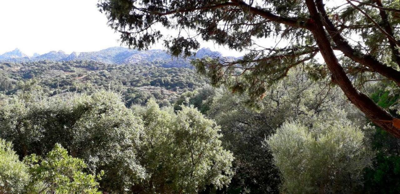 Stazzu La Capretta Farm Camping & Guest Rooms Olbia Eksteriør bilde