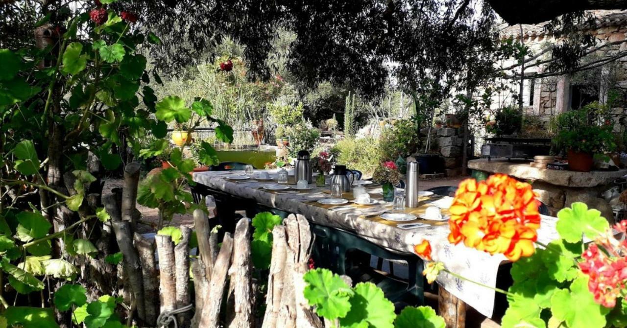 Stazzu La Capretta Farm Camping & Guest Rooms Olbia Eksteriør bilde