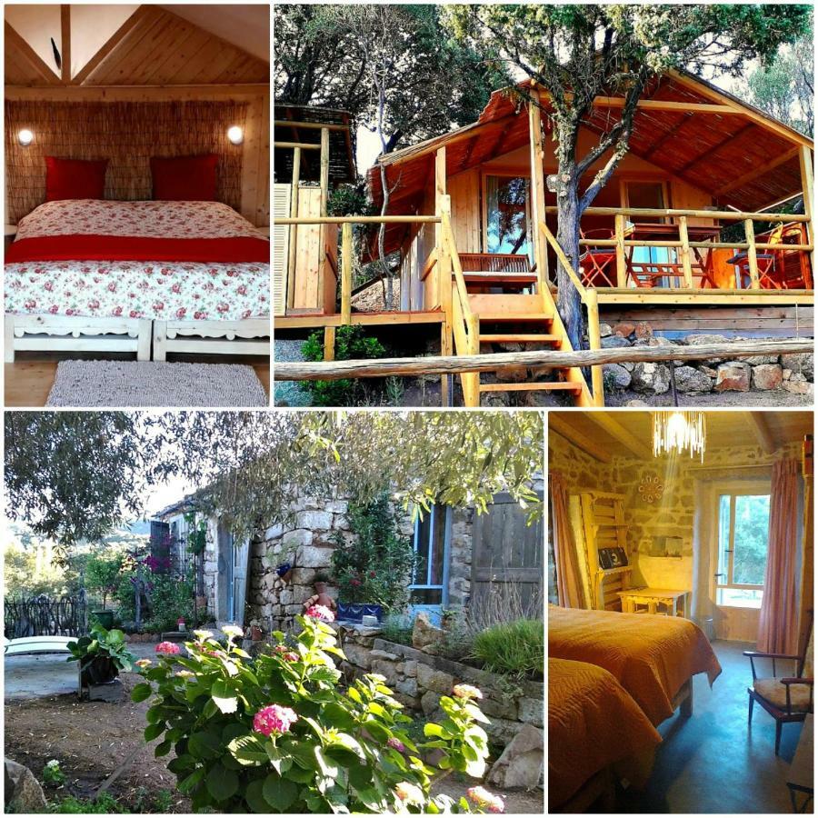 Stazzu La Capretta Farm Camping & Guest Rooms Olbia Eksteriør bilde