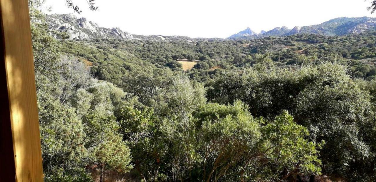 Stazzu La Capretta Farm Camping & Guest Rooms Olbia Eksteriør bilde